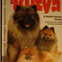 Wild Blue Cherry pomeranian Kennel